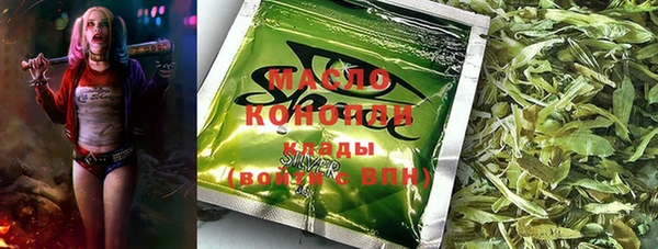 spice Богородицк